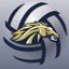 Casteel Women's Volleyball