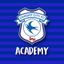 Cardiff City Academy