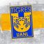 🇺🇦 Club Tigres  8️⃣🏆