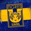 Club Tigres English