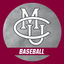CMUMavsBaseball
