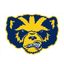 Michigan Club Hockey
