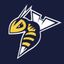 ED_Stingers