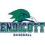 Endicott Baseball
