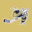 Georgia Tech Hockey