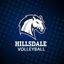 Hillsdale College Volleyball