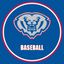 Hamilton Southeastern Baseball