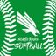 North Texas Softball