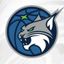 Minnesota Lynx