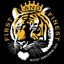 Mizzou Homecoming