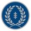 National Football Foundation