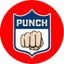 @nflpunch on insta