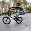 NIGEL SYLVESTER