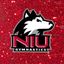 NIU Gymnastics