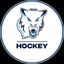 Northwood University Hockey
