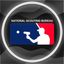 The National Scouting Bureau™️