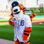 PAWSDetroit