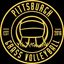 Pittsburgh Grass Volleyball