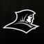 ProvidenceWBB