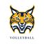 Quinnipiac Volleyball
