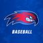 UMass Lowell Baseball