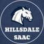 SAAC Hillsdale