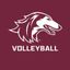 Saluki Volleyball