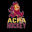 sparkyhockeyd2
