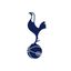 Tottenham Hotspur Women