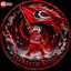 Carolina Hurricanes | TSR