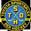 Toyota Sportsplex Dek Hockey