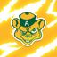 Golden Bears Football