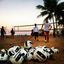 University of Hawaii Beach VB