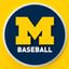 Michigan Baseball