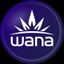 Wana Brands: North America’s Favorite Gummies