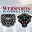 WebSportsRadio