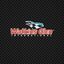 Watkins Glen International