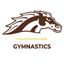 Western Michigan Gymnastics