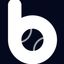 Baseball Bluebook