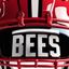Baldwinsville Bees Football (New Era)