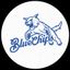 Blue Chips Media