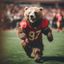 49ers News/ Memes