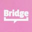 The Bridge Future Program