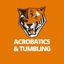 Buffalo State University Acrobatics and Tumbling