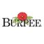 Burpee Gardening