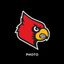 Louisville Athletics Photo