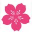 National Cherry Blossom Festival