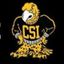 CSI Baseball