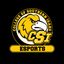 csieaglesesports