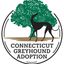 Connecticut Greyhound Adoption